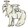 Poney Angelot